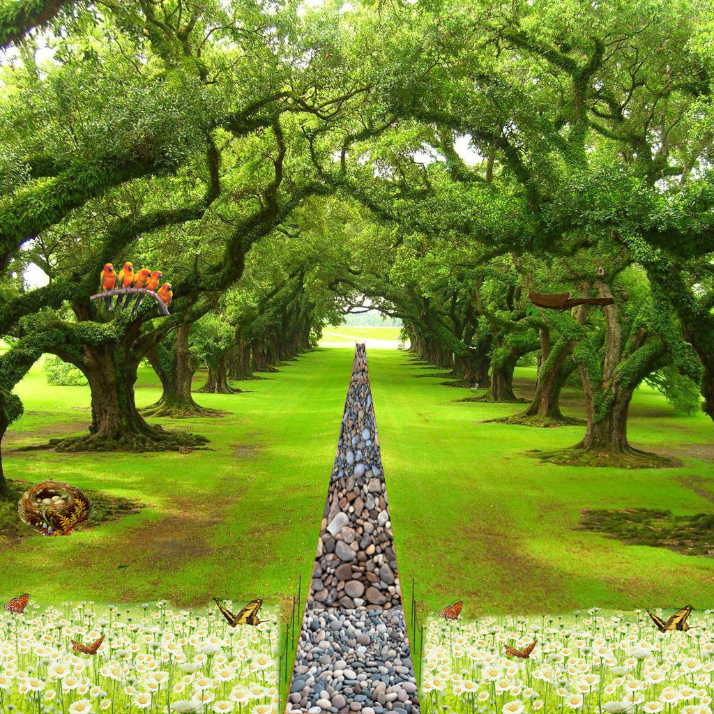 Nature Collage
